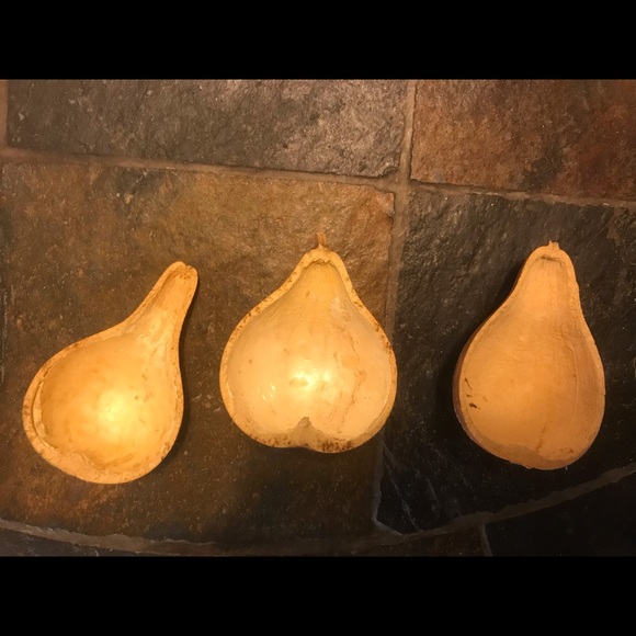 Bolivian Gourd Art - Picture 2 of 5